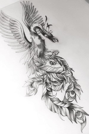#phoenix #sketch 