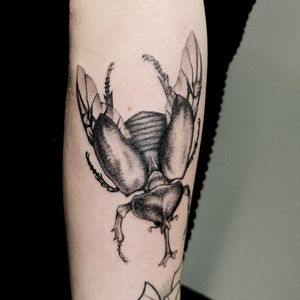 Beetle. Black and gray tattoo.