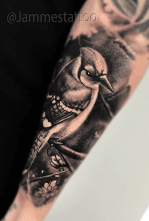 Bird by jammes #nature #realistic #blackandgrey #tattooartist #Tattoodo #realism #ink #jammestattoo #tattoos 
