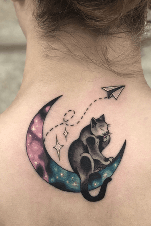 Cat in the moon