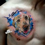 #watercolor #dog #pet #labrador #cachorro #filhote #fullcolor #portrait 
