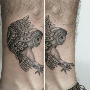 Barn owl #barnowl #dotworktattoo #illustration #tattooartist #dotwork #birdtattoo #bird #bogotacolombia #owl 