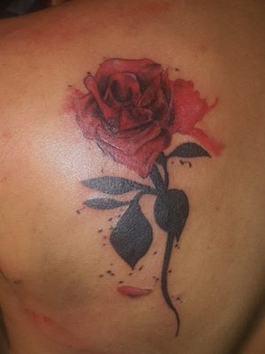 #rosetattoo #albaniantattoo #tirana #hometattoo_ani #anitattoo #ani.v.tattoo #tattooart #tattoo #flowertattoo 