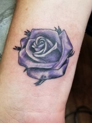 Purple rose. 