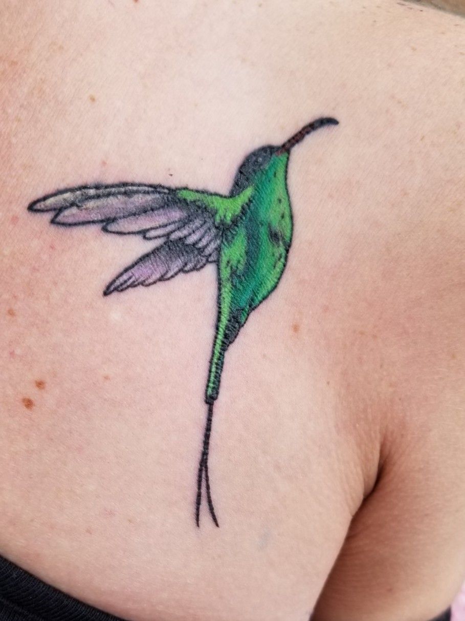 Tattoo tagged with skeleton small doctor woo anatomy animal tricep  tiny bird ifttt little hummingbird fine line  inkedappcom