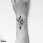 Long time not uploading pictures, so it’s time to upload one of my favorite tattoos. Thanks so much @emmmajadebushhh! ⠀ Appointments at email@pabloferrukt.com or dm. ⠀ #finelinetattoo .⠀ .⠀ .⠀ .⠀ #tattoo #tattoos #tat #ink #inked #tattooed #tattoist #art #design #instaart #geometrictattoos #walkindwelcomed #tatted #instatattoo #bodyart #tatts #tats #amazingink #tattedup #inkedup⠀ #berlin #berlintattoo #walkin #minimalistictattoo #berlintattoos #plant #fineline #tattooberlin #planttattoo