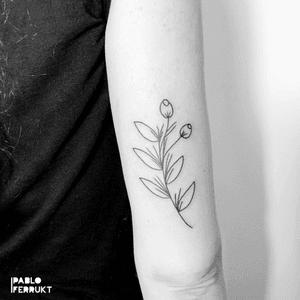 Thanks so much @prinzessin_sauerkirsch for coming back! I am looking forward to our next one! ⠀Appointments at email@pabloferrukt.com or dm. ⠀#foowertattoo .⠀⠀.⠀.⠀#tattoo #tattoos #tat #ink #inked #tattooed #tattoist #art #design #instaart #geometrictattoos #flowertattoo #tatted #instatattoo #bodyart #tatts #tats #amazingink #tattedup #inkedup⠀#berlin #berlintattoo #walkin #finelinetattoo #berlintattoos #fineline #armtattoo  #tattooberlin #flowers⠀