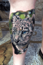 Snow leopard realism color 