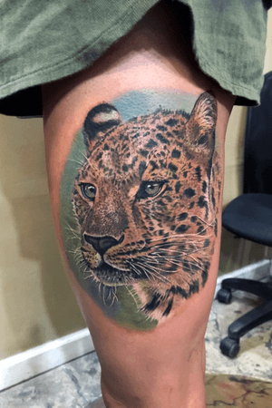 Leopard realism color 