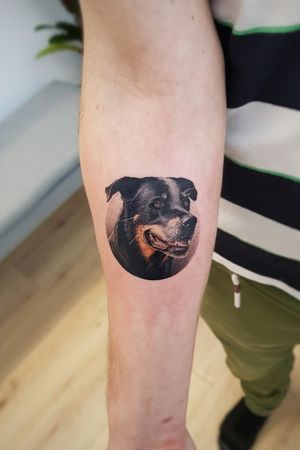 All of you dogowners do me a favor and tell them how awesome they are and give them a hug.While doing this tattoo I was reminded of how special the bond can be, and how short their lives are. Make the most out of it. I don't regret any minute I spent with my dog. There wasn't a second that I feel wasted.I even miss the late night walks where it rained and both of us didn't want to got out, but we had to. I miss being laughed at every time I come home. It left an emptiness when he was gone that was hard to fill. So enjoy the time you have together to the fullest. Make the most out of every day, appreciate it.Would love to do more of these small portraits. If you're interested email me. #tat #tats #tattoo #tattoos #ink #inked #inkedlife #freshlyinked #realism #dog  #canine #friends #smalltattoo#tattoooftheday #tattoodo #inkedmag #thinkbeforeuink #inkstinctsubmission #think #vienna 