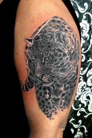 Another part of sleeve - leopard #dktattoos #dagmara #kokocinska #coventry #coventrytattoo #coventrytattooartist #coventrytattoostudio #emeraldink #emeraldinkltd #emeraldinkcoventry #leopard #leopardtattoo #animaltattoo #animal #wildanimaltattoo #tattoo #tattoos #tattooideas #tatt #tattooist #tattooshop #tattooedgirl #tattooforgirls #killerbee #immortalinnovations