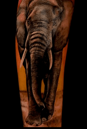 #elephant #animal #realistictattoo #red #blackangrey #color #fkirons #tattoo #tattooink #pomezia #roma #tattoolove #tattoolife #ink #inked #switzerland #inkworld #zurich #inkmania #inkmaniatattooconvention #lovemyjo #tattootime #tattoopeople #inkboy #photooftheday #worldfamousink #tattoopeople #tattoo2me