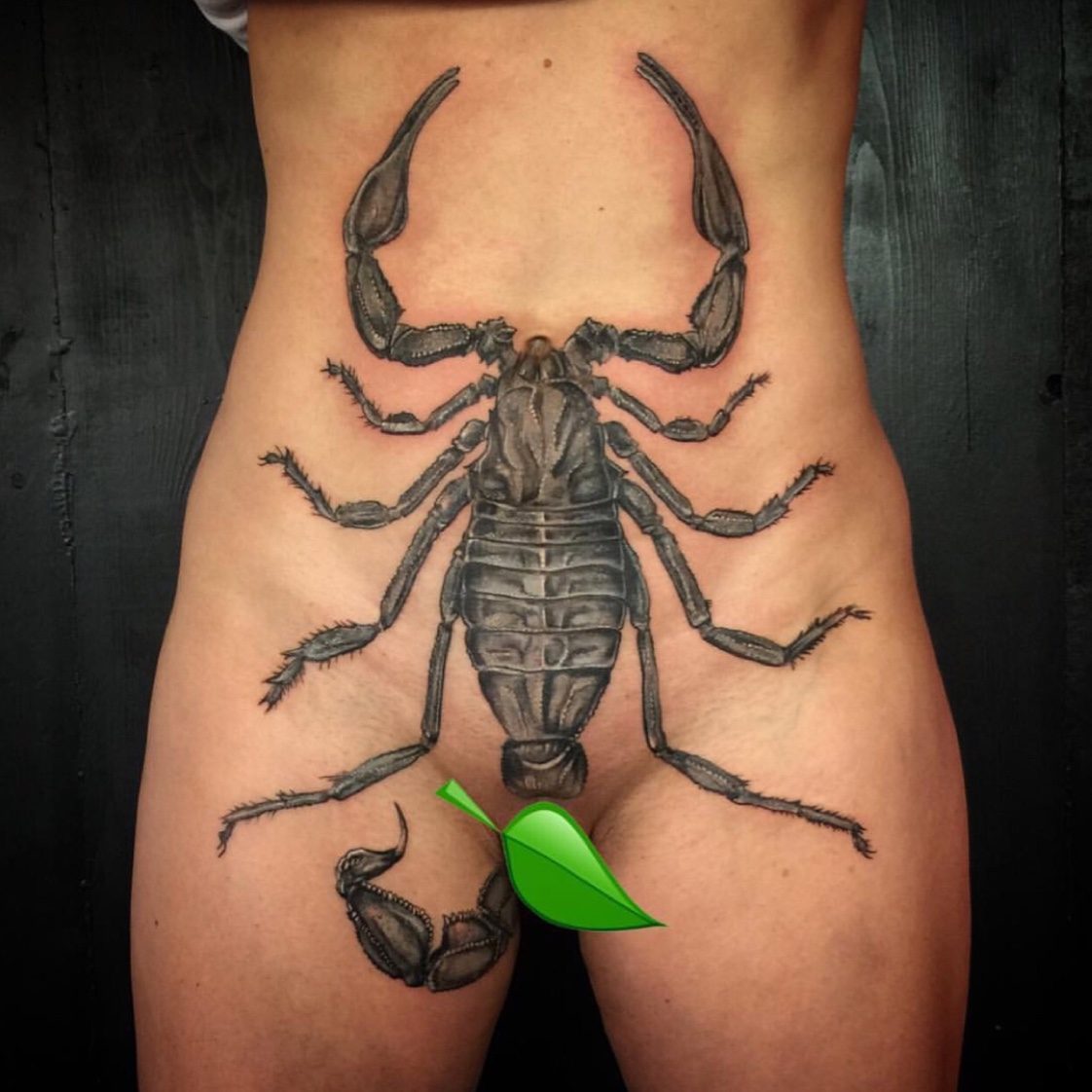 prompthunt: a realistic scorpion drawing