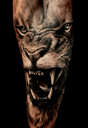 #lion #king #realistictattoo #red #blackangrey #color #fkirons #tattoo #tattooink #pomezia #roma #tattoolove #tattoolife #ink #inked #switzerland #inkworld #zurich #inkmania #inkmaniatattooconvention #lovemyjo #tattootime #tattoopeople #inkboy #photooftheday #worldfamousink #tattoopeople #tattoo2me