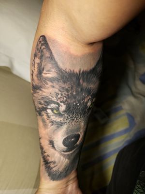 ALFA WOLF. #realistic #wolf #alfa #wolves 