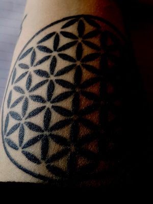 #floweroflife 