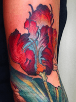 Tulip #botanical #tulip #flower #floral #arm #femaletattooartist #inked 