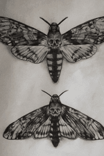 Death Moths