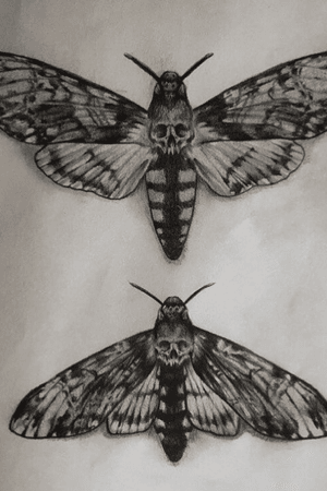 Death Moths