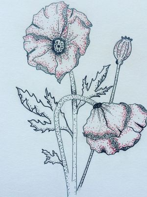 Poppies For: Brittany Clark Scroll for tattoo