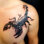Scorpion realistic