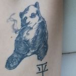 Panda 1st tat 