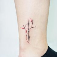 Minimalist Bamboo Tattoo Bronctattooaus Minimalist Bamboo Tattoo Bronctattooaus