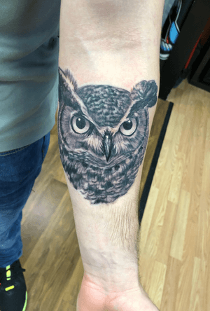 Black and grey owl 