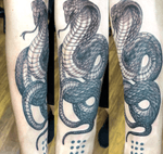 Black and grey cobra on forearm