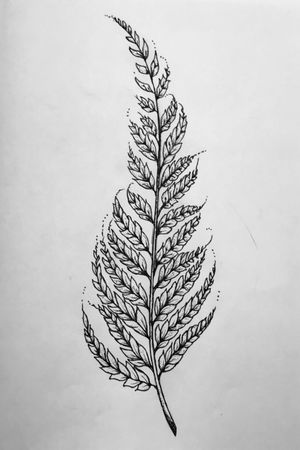 Tattoo uploaded by Steven • Fern • Tattoodo Tattoo uploaded by Steven • Fern • Tattoodo