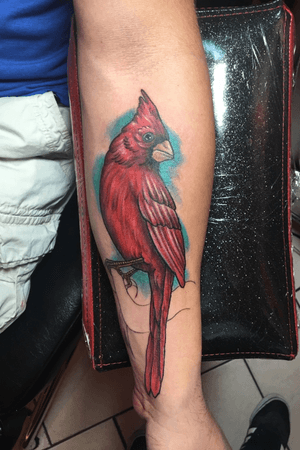 Cardinal tattoo 