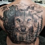 Wolf mountain and forest tattoo which is a coverup. 