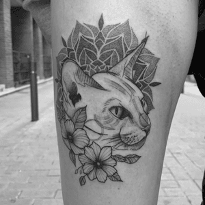 Done at loyalty  tattoo bcn🔥🔥🔥 #cat #sketch #dotwork #mandala #mandalatattoo 