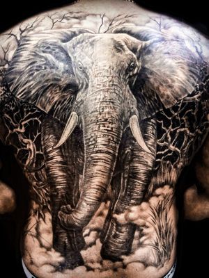 Elephant tattoo on the back 