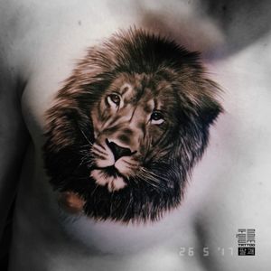 Лев 🦁 На груди терпеливого датчанина ✊ Дания 🇩🇰 (Май '17)...С чем у вас ассоциируется "Царь зверей"? Пишите в комментах 👇...#тату #лев #нагруди #trigram #tattoo #lion #inkedsense #chest #tattooist #кольщик 