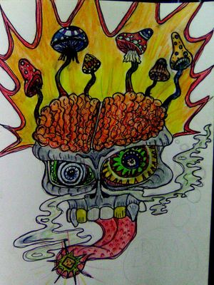 #Skulls #mushrooms #drugs #LSD #brains