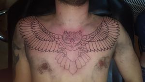 Owl chest piece, not complete 4hour outline session...couldn't handle more 😂