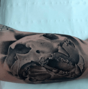 Lion skull on the inside of the arm, wraps a bit but here is the main idea