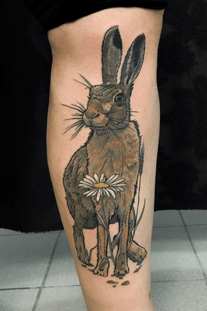 #hare #neotraditional #neotraditionaltattoos #colour #realistic 