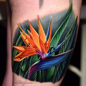 Tattoo by Phil Garcia #PhilGarcia #realismtattoos #hyperrealismtattoos #realism #hyperrealism #realistic #birdofparadise #flower #floral #leaves #nature #plant #tropical