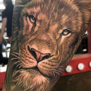 Tattoo by Megan Massacre #MeganMassacre #realismtattoos #hyperrealismtattoos #realism #hyperrealism #realistic #lion #nature #animal #cat #kitty #junglecat