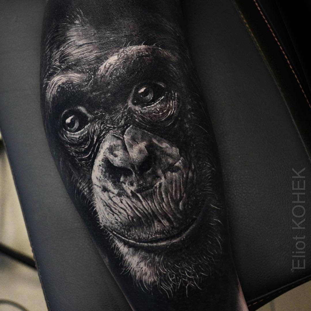 Baby chimpanzee tattoo by Eliot Kohek  Post 25331