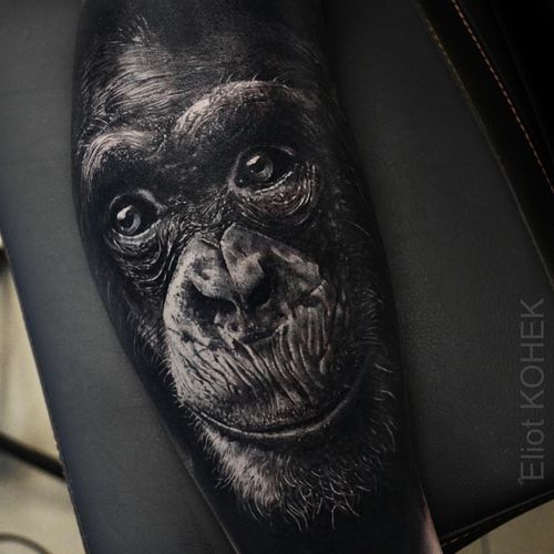 Tattoo by Eliot Kohek #EliotKohek #realismtattoos #hyperrealismtattoos #realism #hyperrealism #realistic #gorilla #monkey #animal #nature #cute