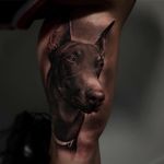 Tattoo by Ganga #Ganga #realismtattoos #hyperrealismtattoos #realism #hyperrealism #realistic #dog #animal #puppy #petportrait