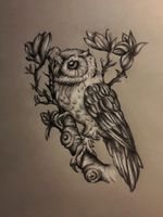 Owl tattoo concept I did last night!!