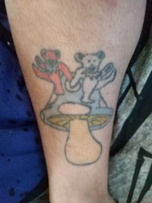 Just two grateful dead bears dancing on a shroom!