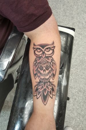 Day of the dead owl