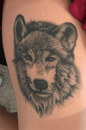 First tattoo, three years old, #wolf #wolves #firsttattoo #old #threeyears #greywork #animal #animals