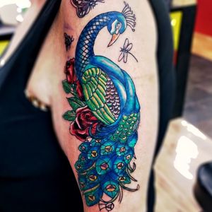 Peacock on a womans upper arm Needles: Workhorse Ink: Fusion