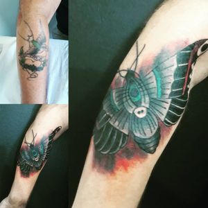 Moth cover up to Mike!